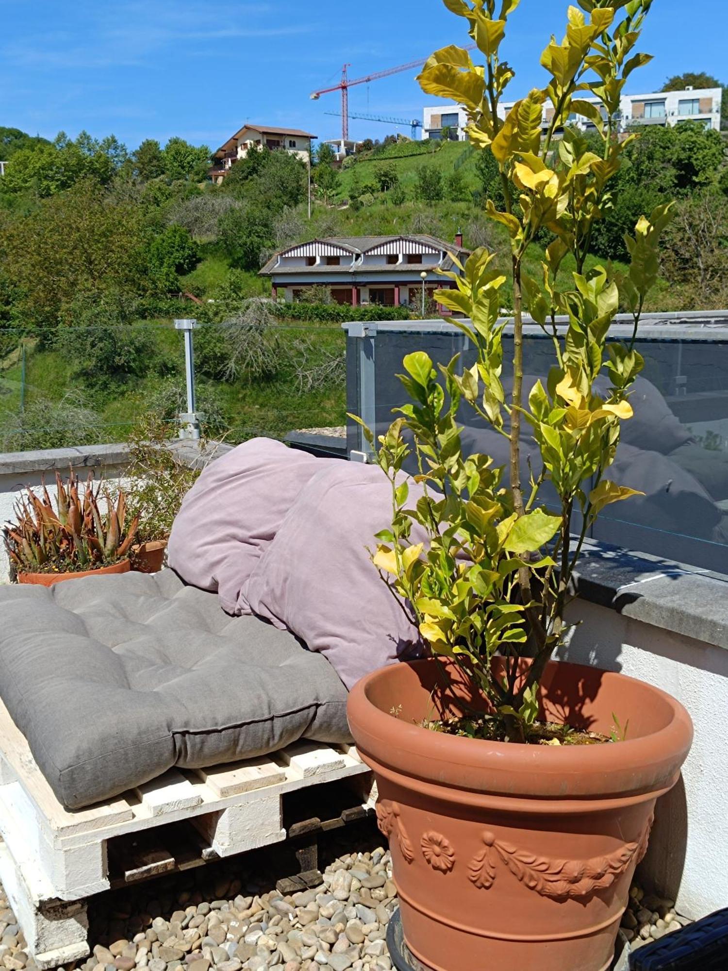 Plena Naturaleza En Pleno * San Sebastián